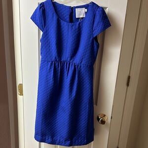 HD in Paris Cobalt Blue Textured Cap Sleeve Dress